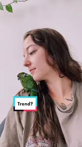 Stella Bird's Instagram, Twitter & Facebook