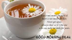 Good morning my angel, do have a lovely day ahead of you. Romantic Good Morning Wishes For Her