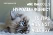 Hypoallergenic Cats | Hypoallergenic Cat Breeds | Get the ...