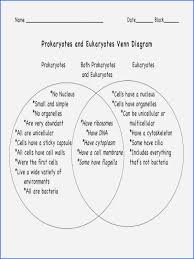 Venn Diagram Of Prokaryotic And Eukaryotic Cells Kozen