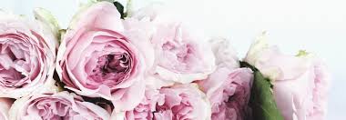 Add local organic groceries like meat milk & eggs. Flower Delivery Services For Mother S Day 2020 In Atlanta Ga Akins Ford
