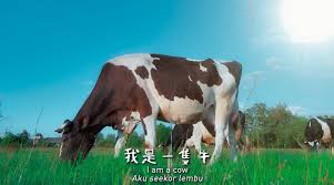 Chinese new year songs remix 2018 一连串新年贺岁歌曲dj舞曲remix 《新年快乐》. Namewee Chinese New Year Song I Am A Cow Tekkaus Malaysia Lifestyle Blogger Influencer
