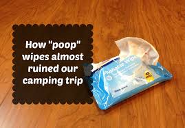 If you have a septic system you may be wondering if flusing them down the toilet will clog your tank.find out. How Poop Wipes Almost Ruined Our Camping Trip