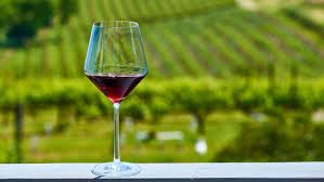 Turismo del vino: previsti 20 milioni di pernottamenti nel 2025