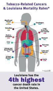 We did not find results for: Risk Factors Louisiana Cancer Prevention And Control Programs