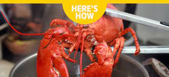 How do you know when lobster tails are done on the grill? Mynslc How To Tell If A Lobster Is Fully Cooked