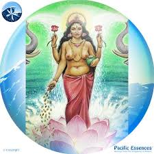 Goddess lakshmi, is the energy of abundance, prosperity and goodness. Lakshmi Pacific Essences