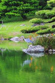 Img 0863 Japanese Garden Beautiful Gardens Beautiful Landscapes