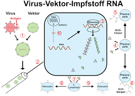 Maybe you would like to learn more about one of these? Allgemeines Impf Info C Dr Steffen Rabe