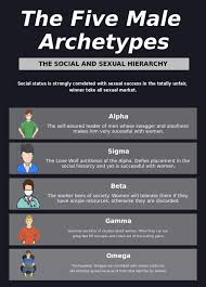 File The Five Male Archetypes Svg Wikimannia In 2020 Sigma Male Alpha Male Traits Sigma