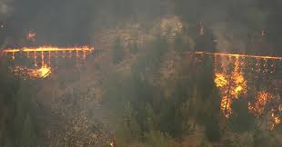 Maybe you would like to learn more about one of these? 5 Most Damaging Wildfires In B C S History