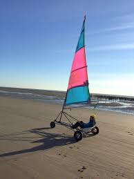 Weekend A Berck Char A Voile Et Decouverte Des Phoques Lauraleen Lifestyle Char A Voile Berck Plage Mer Du Nord