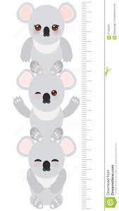 Koala Children Height Meter Wall Sticker Kids Stock Vector