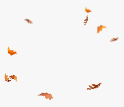 Tree in the autumn with leaves falling to the ground. Falling Leaves Png Falling Autumn Leaves Png Transparent Png Transparent Png Image Pngitem