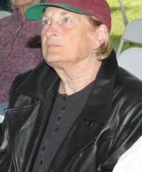 Senior Scholar Summer Sessions return