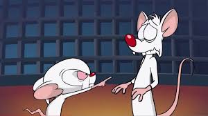Every Single Pinky And The Brain Plan To Take Over The World Ranked Brain Images Taking Over The World 90s Cartoons