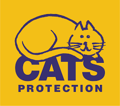 To gain a cat's trust, you must simply earn it. Cats Protection Wikipedia