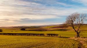 Spirit Ridge release 14...