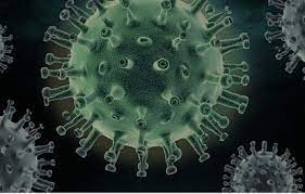 Ada berbagai penyakit yang dapat dialami oleh ikan cupang. Penyakit Menular Jenis Dan Penanggulangannya Rs Krakatau Medika