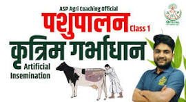 Artificial insemination