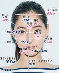 必見 史上初の小顔計測 新木優子の顔の小ささに震える 顔のメイク 裏技ビューティー 美容