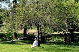 Come experience why we've consistently. Yoga Vacation Sivananda Yoga Farm Northern California