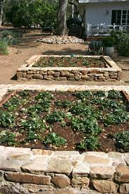 The Polished Pebble March Gardening The Spring Planting Month Raised Garden Garden Beds Garden