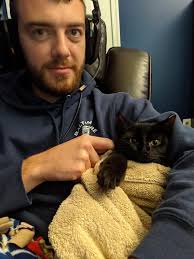 Hello friends! I have three amazing, vaccinated 6 month old foster kittens  that will be looking for a home of their own soon! All three are getting  their neuter/spay appointments tomorrow with