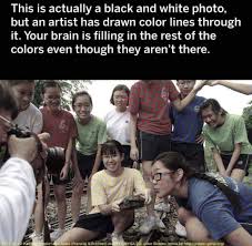 Pin By Will E On Drawings I Want To Do But Probably Never Will Cool Illusions Wtf Fun Facts Memes