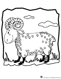 They can serve as a great take home activity. Ram Coloring Page Classroom Jr Animal Coloring Pages Coloring Pages Abraham And Lot