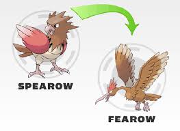 Free Download Pokemon What Level Does Spearow Evolve Hot