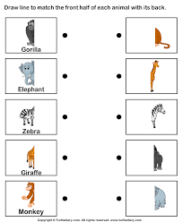 All worksheets only my followed users only my favourite worksheets only my own worksheets. Body Parts Of Animals Worksheets Worksheet Turtle Diary