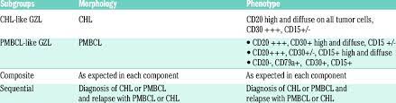 Journal of hematopathology, jun 2014. Pathological Criteria For Diagnosis Of Gray Zone Lymphoma And Subgroups Download Table