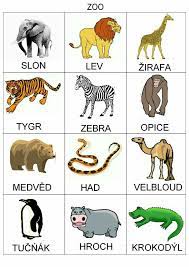 Pin By Monicka Zubkova On Skola Zoo Animal Activities Zoo Animals Zoo Animals List