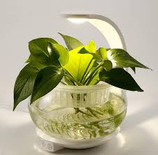 Plants normally need light to flourish and when you are growing them inside or in a nursery, led grow lights are the absolute best. The 18 Best Grow Lights For Your Plants