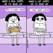 The question of cats vs dogs and which is the ultimate pet has hounded dog devotees and feline fanciers for centuries. 66 Hilarious Differences Between Cats And Dogs Bored Panda