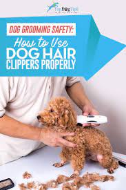 How To Use Clippers To Trim Your Dog S Hair Dog Grooming Diy Goldendoodle Grooming Dog Hair