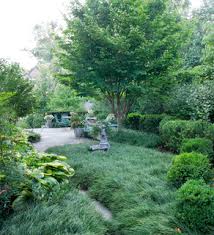 Front Yard No Mowing Traditional Landscape Lawn Alternatives Ground Cover