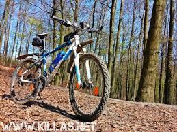Iserlohn Stadtwald Mountainbike Touren Wald