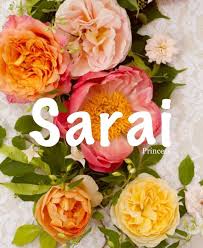 Some of the names like maya and ariana have also made to the top list. Sarai Princess Biblical Names Unique Names Baby Girl Names Baby Names Female Names Midd Baby Girl Names Biblical Baby Girl Names Unique Baby Girl Names