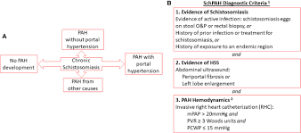 Find hotels near donald e stephens convention center, the united states online. Frontiers Schistosomiasis Pulmonary Arterial Hypertension Immunology