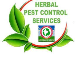 We have serviced in herbal pest control staffs of professionally trained and certified technicians any vegetation found near patios and walls may hide some ant nests or their trails. Commercial Herbal Pest Control Services Rashtriya Chemical Herbal Pest Control Service Id 22994218662