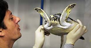 DHEC board members to discuss new director