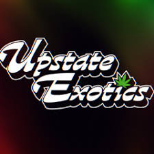 Listen to playlists featuring Neighborhood Hoez (feat. 2 Chainz) by Freddie  Gibbs online for free