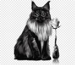 Their hind legs are longer than their front legs, which is one characteristic that distinguishes them from the maine coon. Cat Maine Coon Persian Cat Norwegian Forest Cat Siberian Cat Kitten Raccoon Calico Cat Maine Coon Persian Cat Norwegian Forest Cat Png Pngwing