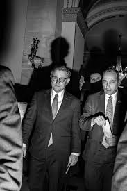 Image result for Dark Olive 1990 US Government