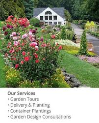 Visit White Flower Farm Plant Nursery White Flower Farm White Flower Farm Beautiful Flowers Garden Garden Flower Beds