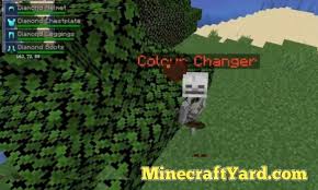 The following list includes bo. Name Pain Mod 1 17 1 1 16 5 1 15 2 Name Plate Minecraft