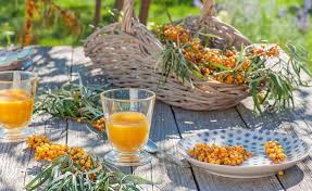 Sanddornsaft Selber Machen So Geht S In 2020 Sanddorn Sanddorn Rezepte Tolle Rezepte
