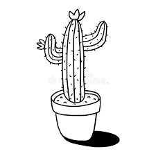 Free for commercial use no attribution required high quality images. Cactus Pot Black White Stock Illustrations 2 854 Cactus Pot Black White Stock Illustrations Vectors Clipart Dreamstime